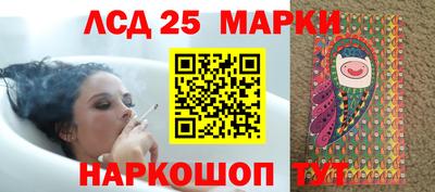 гидропоника Кулебаки