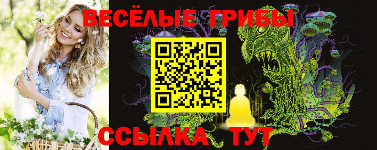 Кохма  Псилоцибиновые грибы GOLDEN TEACHER  Вход с VPN 