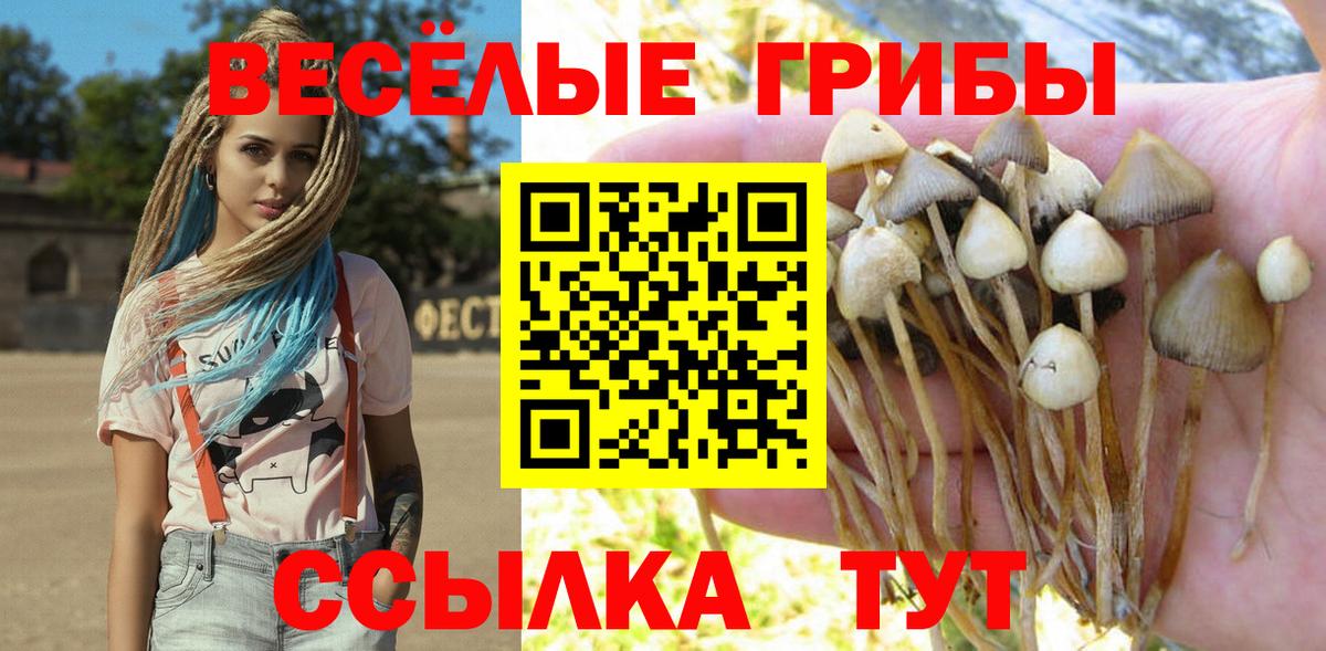 Псилоцибиновые грибы ЛСД Кохма